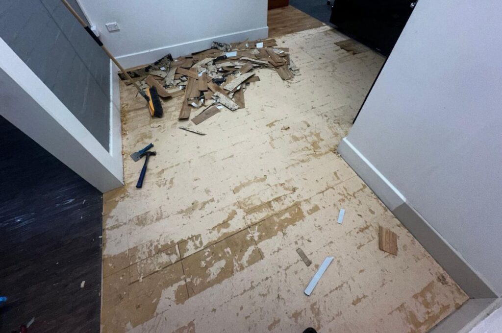 carpet flooring removal bef