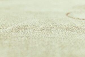 Uncover the Secrets of Expert Carpet Repairs in Casula