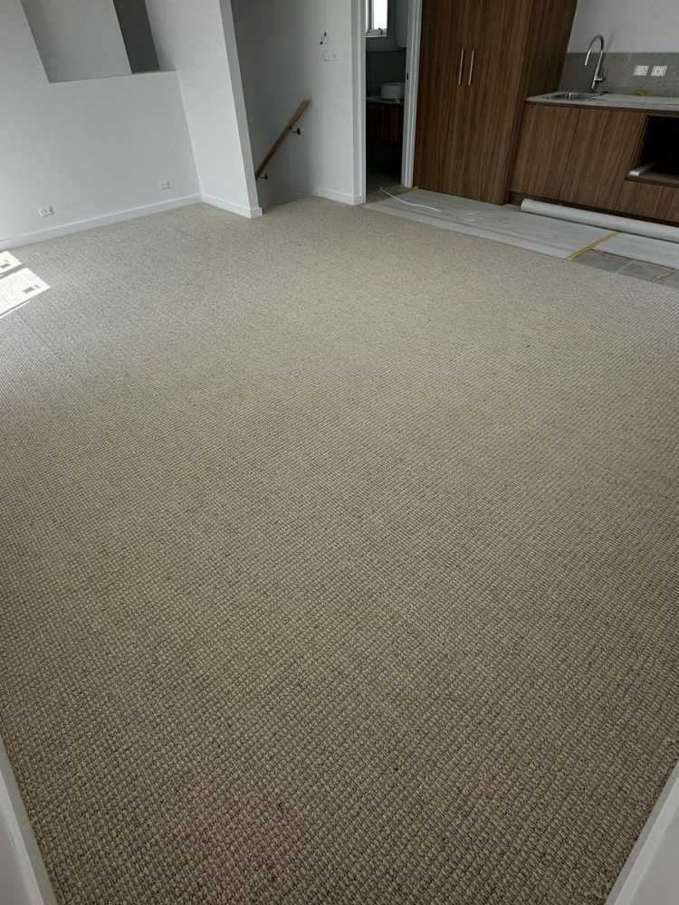 carpet installers minto